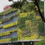 living green wall