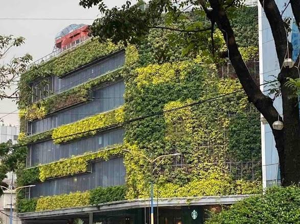 living green wall