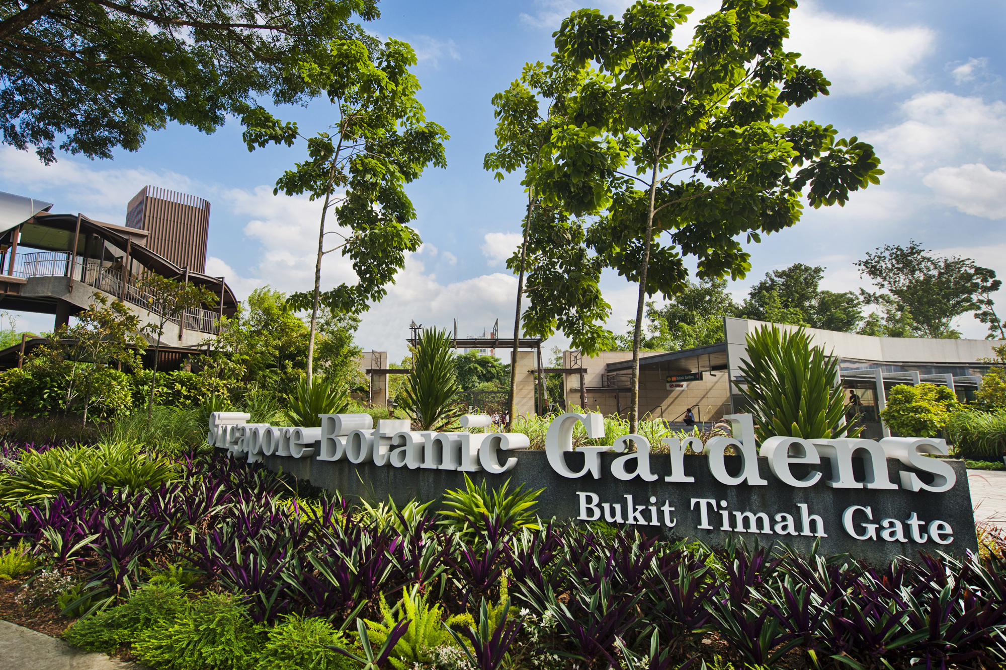 singapore botanic gardens